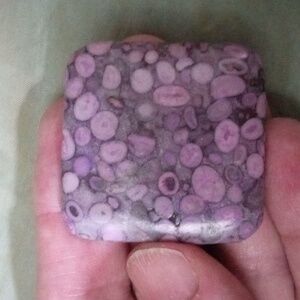 Purple Fossil Coral Pendant #2